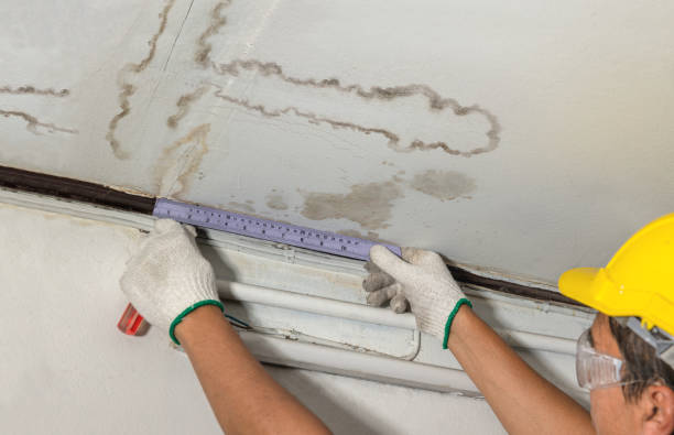 Reliable Water Damage contractor in Horse Shoe, NC by Water Damage Irwin
